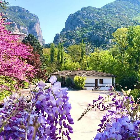 Hotel La Ginestra 阿夸拉尼亚 外观 照片